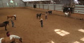 Five Fires Equestrian Centre
